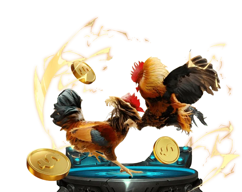 Đá gà trực tuyến đỉnh cao tại FABET ho88